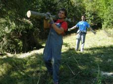 Klik za večjo sliko